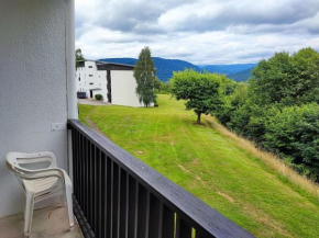 Le Seydrad, appartement vue nature, hauteurs de Gérardmer